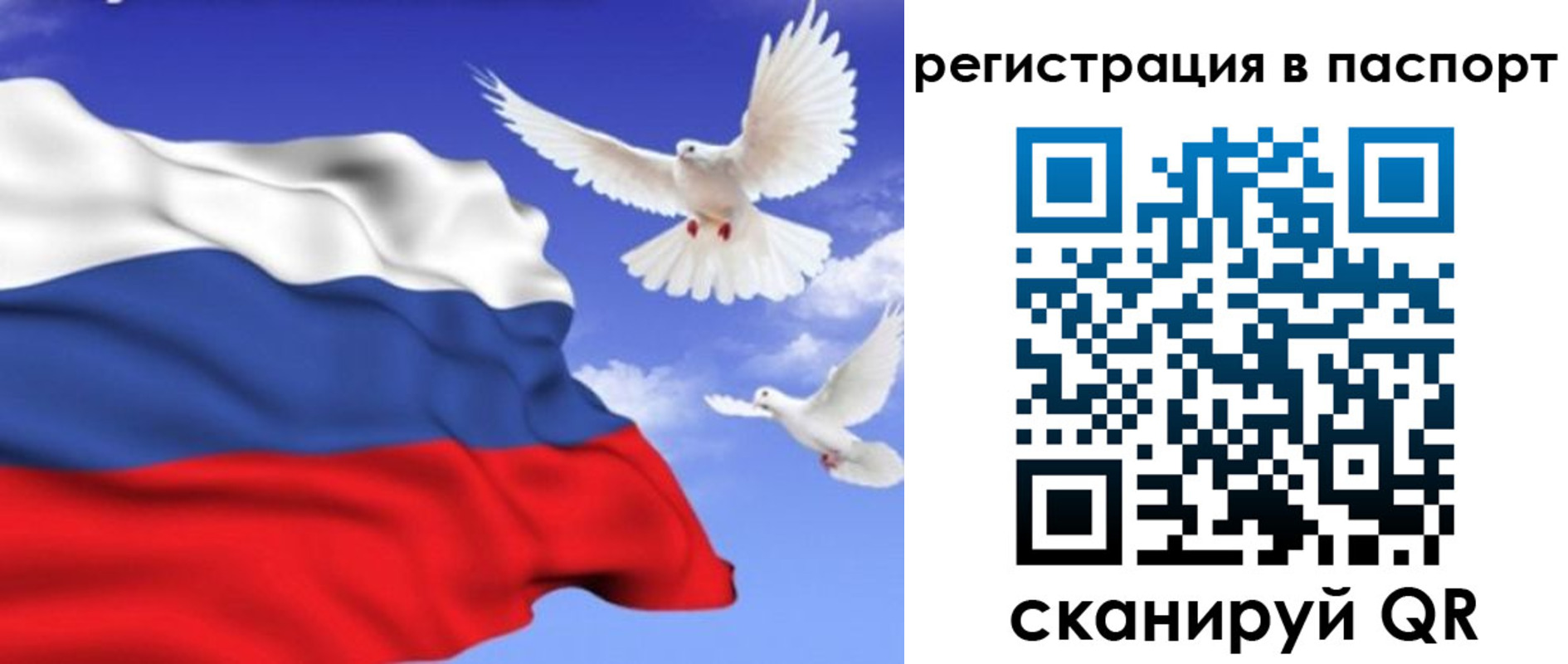 купить прописку в Бодайбо